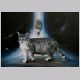 Airbrush auf Leinwand 70 x 50